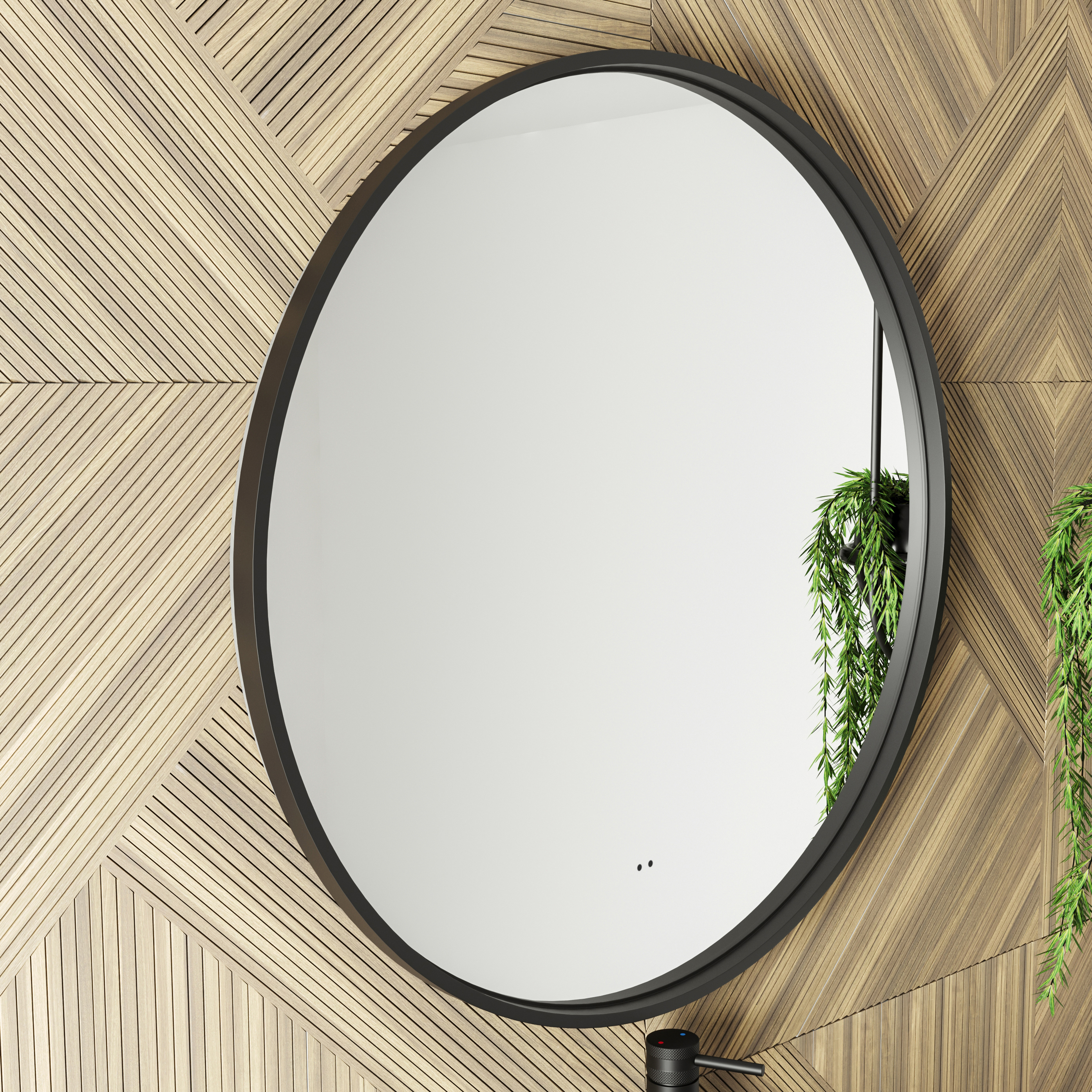 Black Mirrors